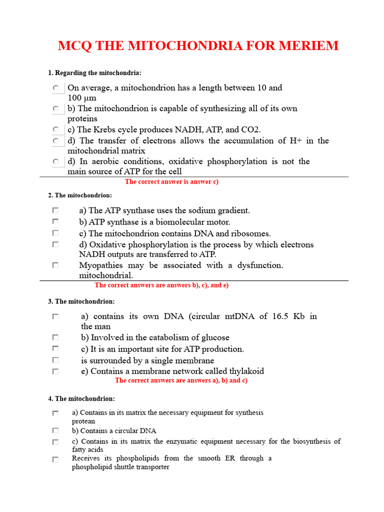 Quiz The Mitochondrion For Meriem1 | PDF | Mitochondrion | Adenosine ...