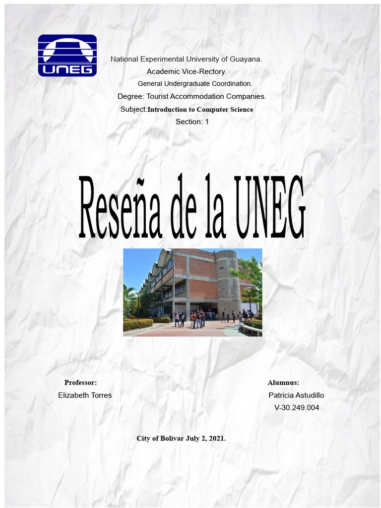 UNEG: History and Structure Overview | PDF