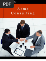 Acme Consulting Sample Business Plan