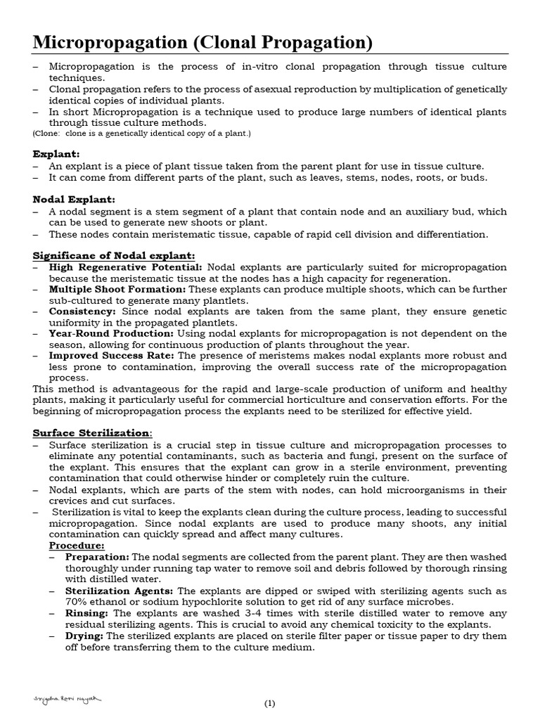 Micropropagation v2 (Shorttest) | PDF | Plant Hormone | Life Sciences