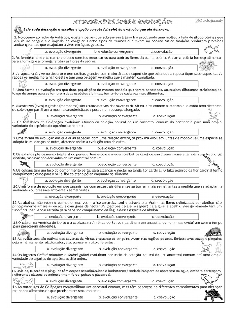 Atividades Sobre Evolução | PDF