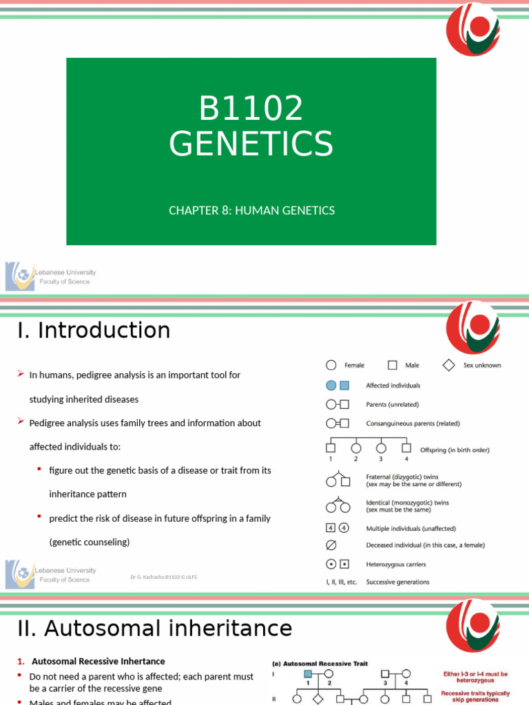Human Genetics: Inheritance Patterns | PDF