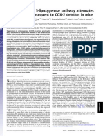 Disruption of The 5-Lipoxygenase Pathway Attenuates Atherogenesis Consequent To COX-2 Deletion in Mice