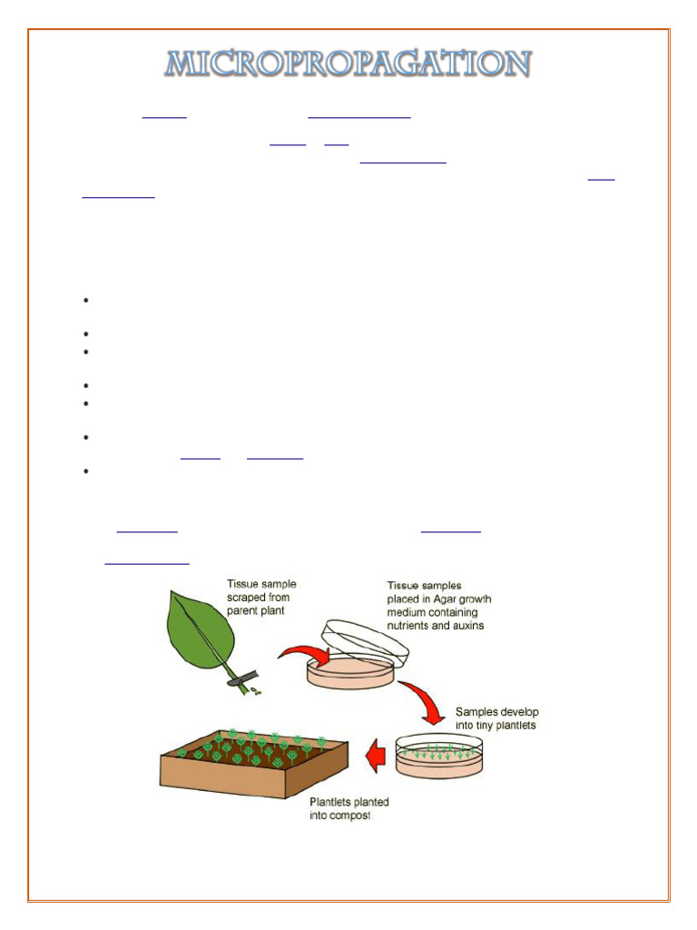 Micropropagation Techniques in Plant Tissue Culture | PDF
