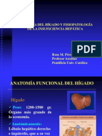 anatomiafisologia-higado.ppt