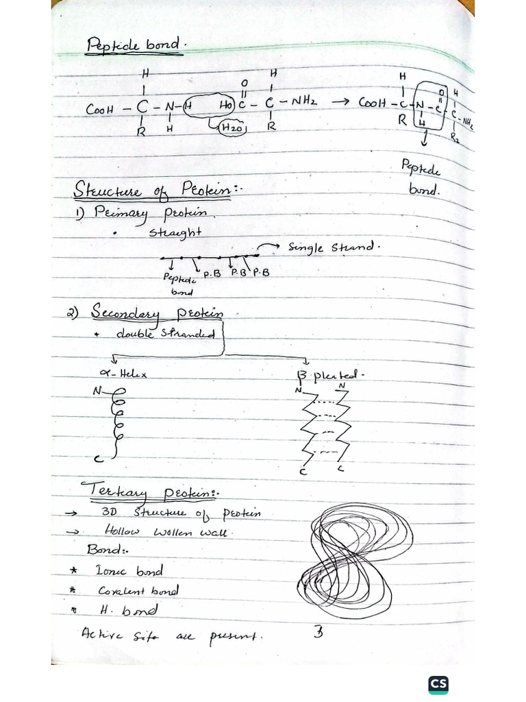 Class 11 Lecture | PDF