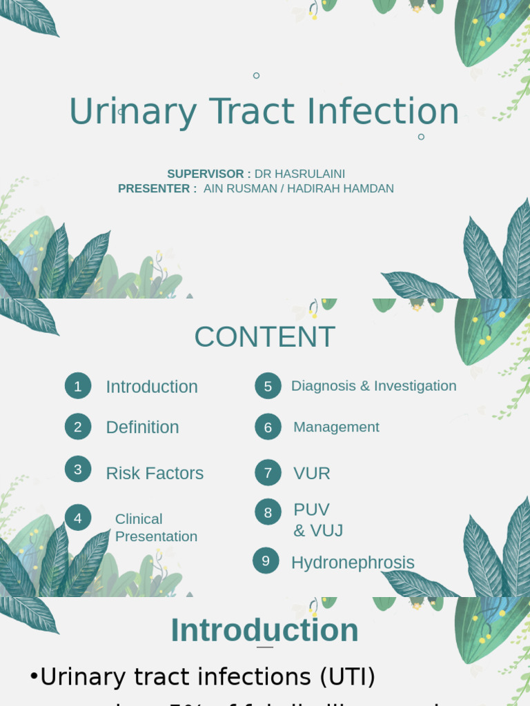 Understanding Urinary Tract Infections | PDF | Urinary Tract Infection ...