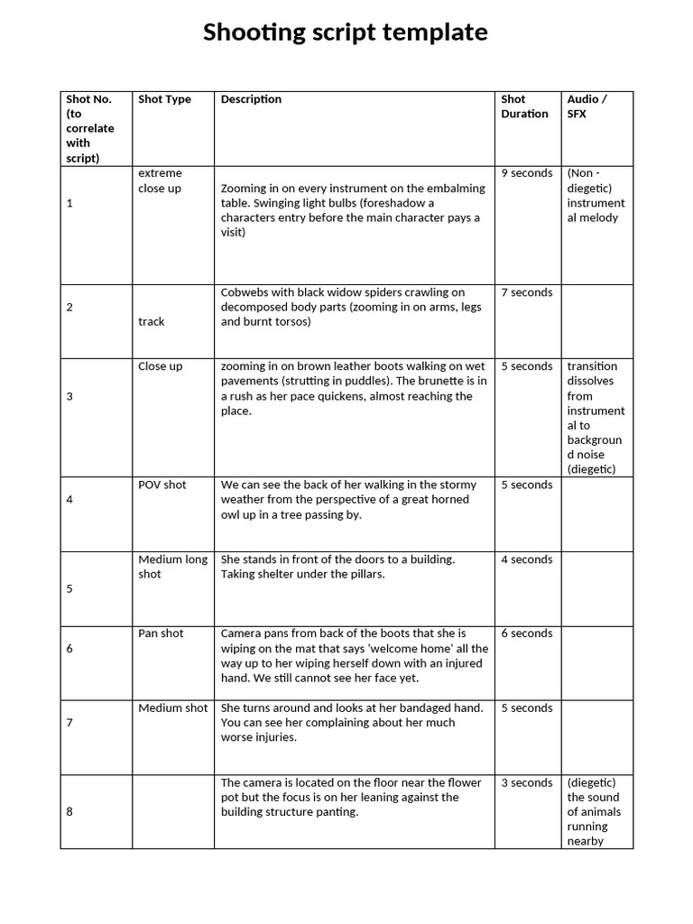 Shooting Script Template Overview | PDF