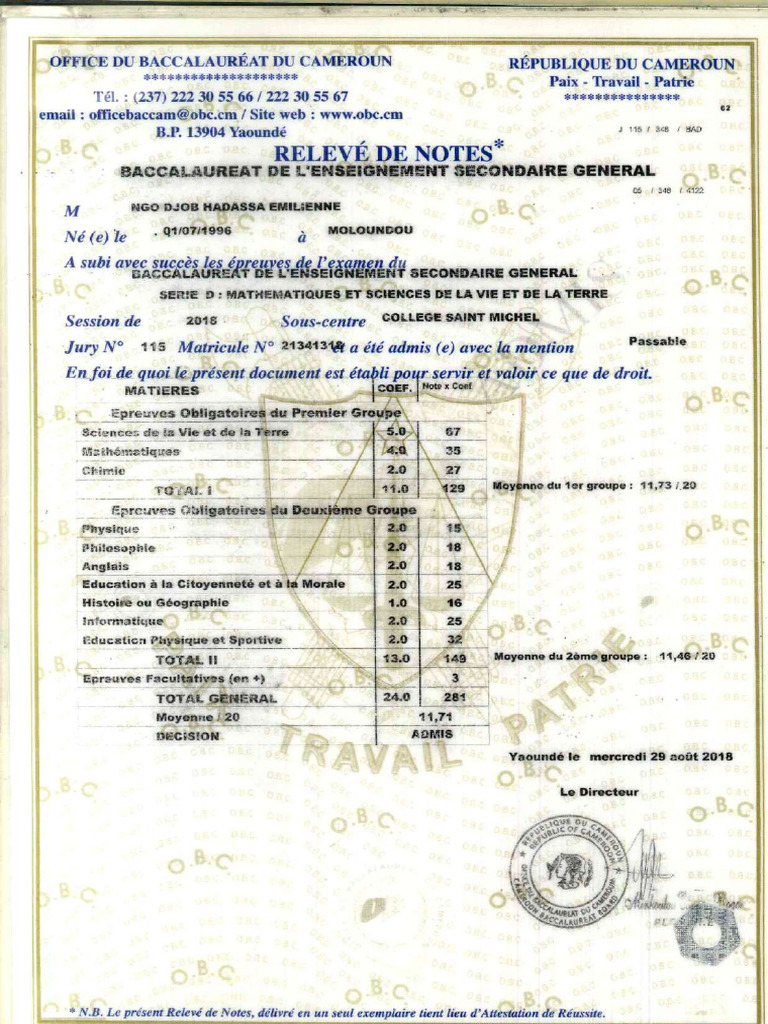 Relevé de Notes Baccalauréat D - Compressed | PDF