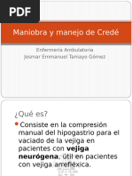Maniobra de Crede para Vaciamiento Vejiga | PDF | Urología | Sistema ...