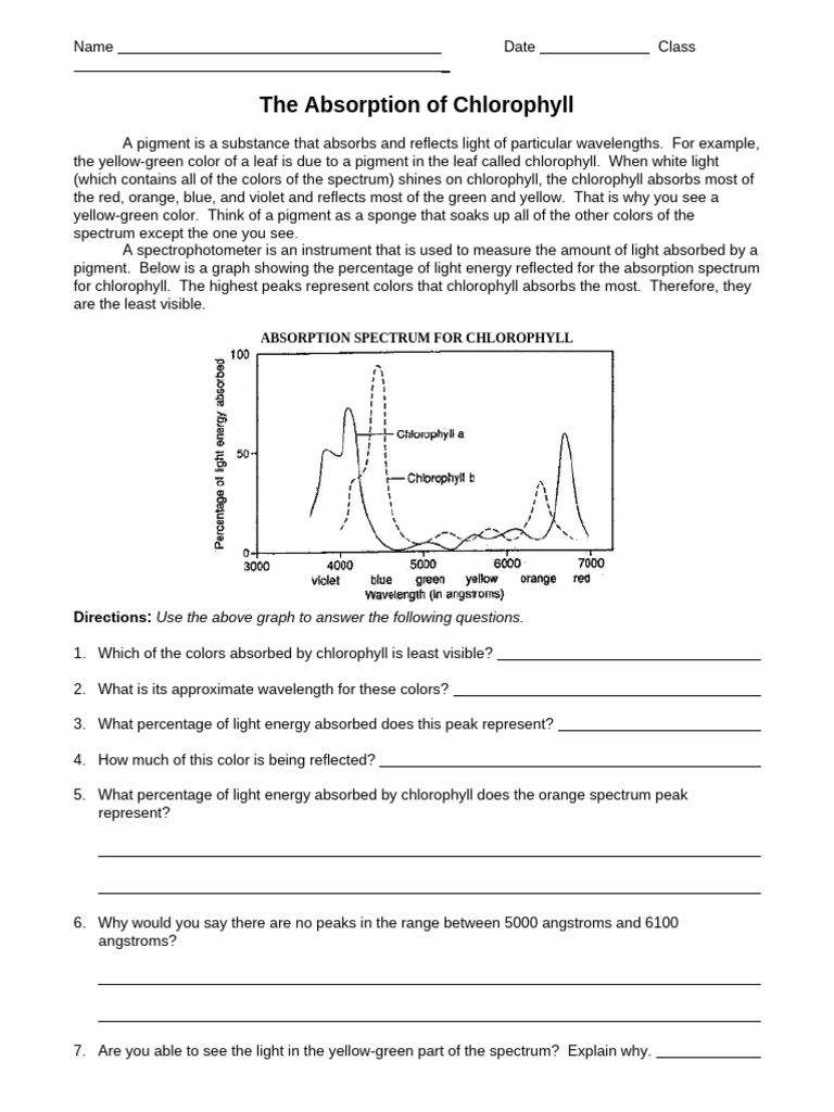 Chlorophyll Absorption Spectrum Analysis | PDF