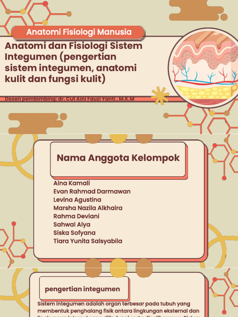 Anatomi dan Fungsi Sistem Integumen | PDF