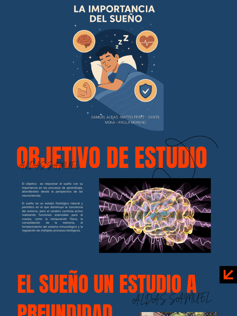 Sueño y Aprendizaje: Clave Neurociencia | PDF | Memoria | Dormir