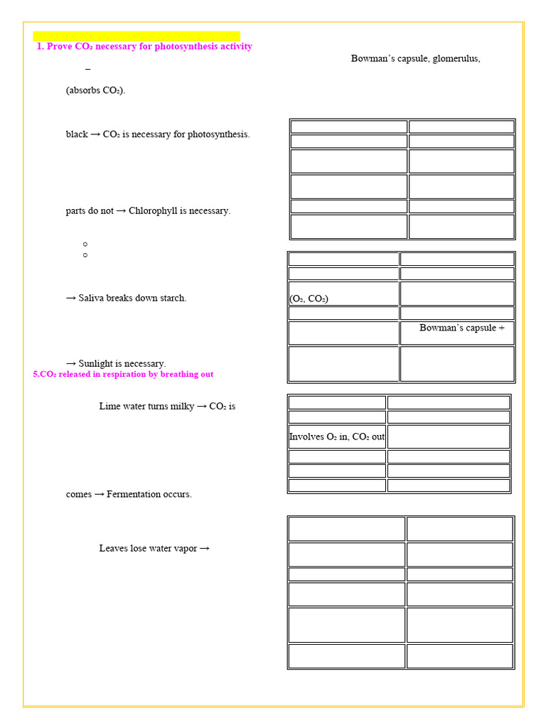 Life Pocess Imp QS & Sols-1 | PDF | Blood | Cellular Respiration