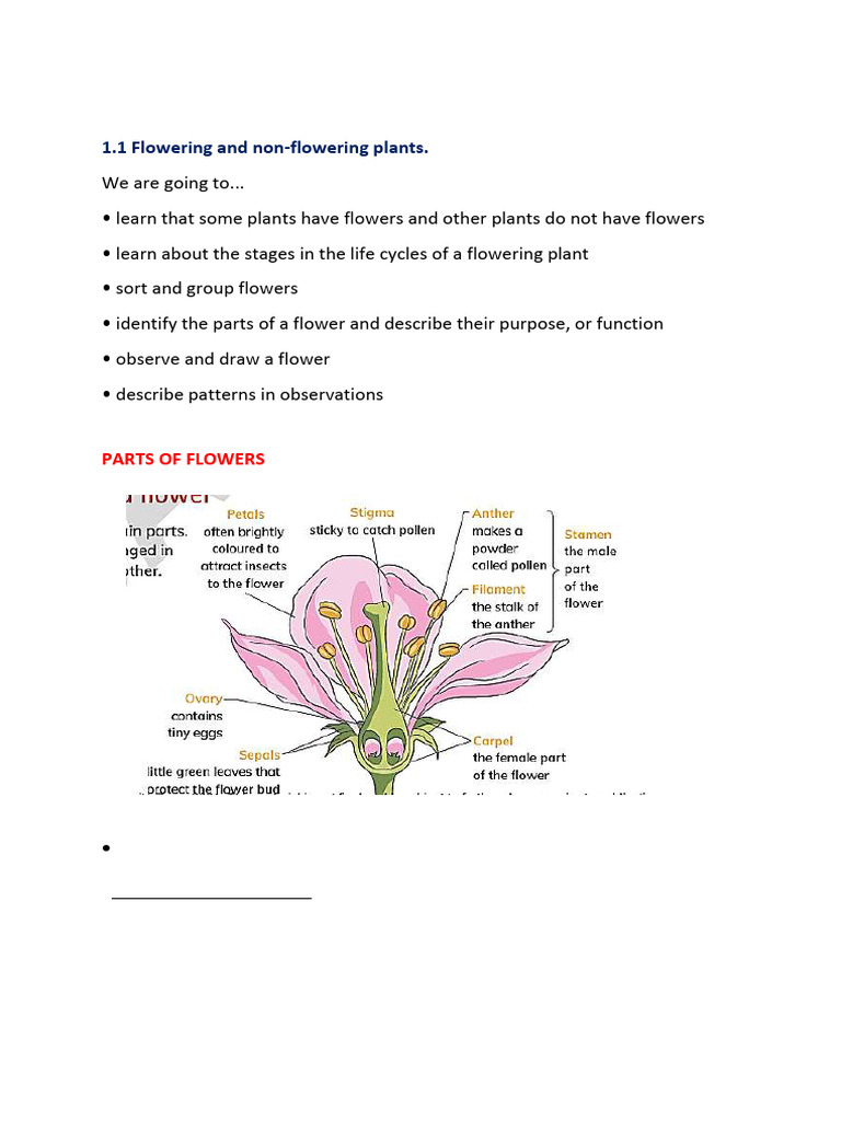 1.1 Flowering & Non Flowering Plant | PDF | Flowers | Plants