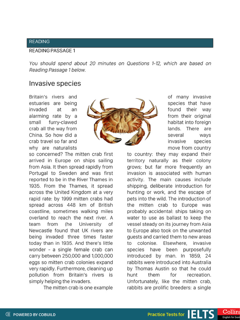 IELTS - Reading Practice (3 Passages) From Collins | PDF
