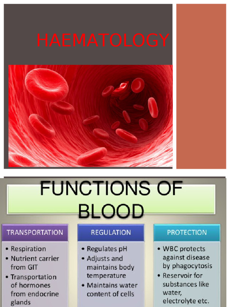 Functions and Types of Blood Cells | PDF | White Blood Cell | Granulocyte