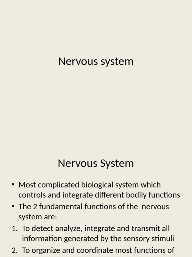Overview of the Nervous System Functions | PDF | Nervous System | Neuron
