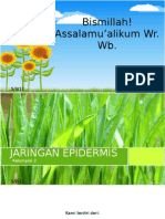 2. Jaringan Epidermis 11 Ipa 4