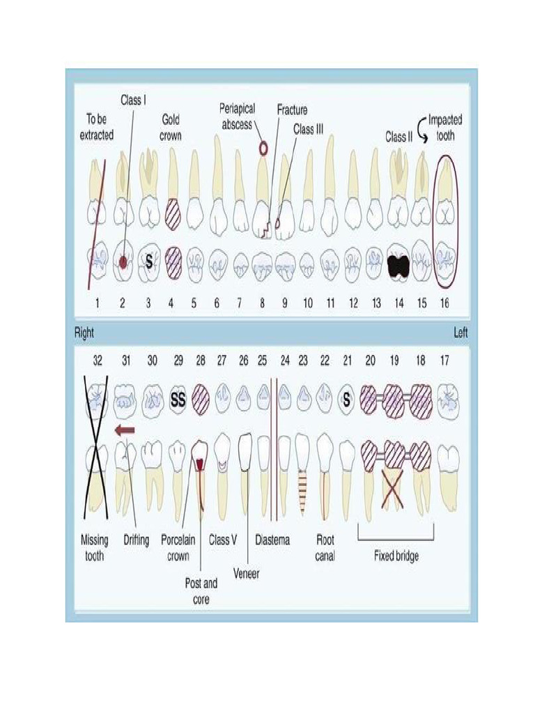 Oral Medicine Charting | PDF