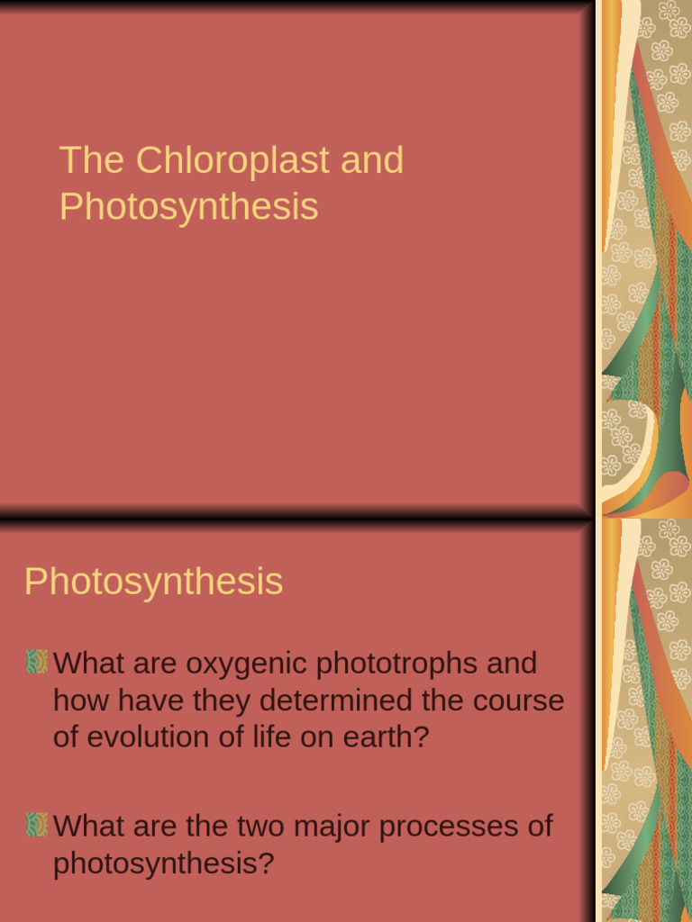 Chloroplasts and Photosynthesis Explained | PDF | Photosynthesis ...