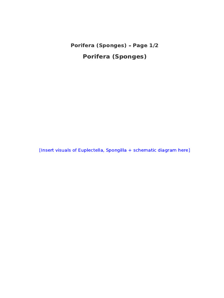 Batch1 Phylum Porifera Cnidaria Ctenophora | PDF