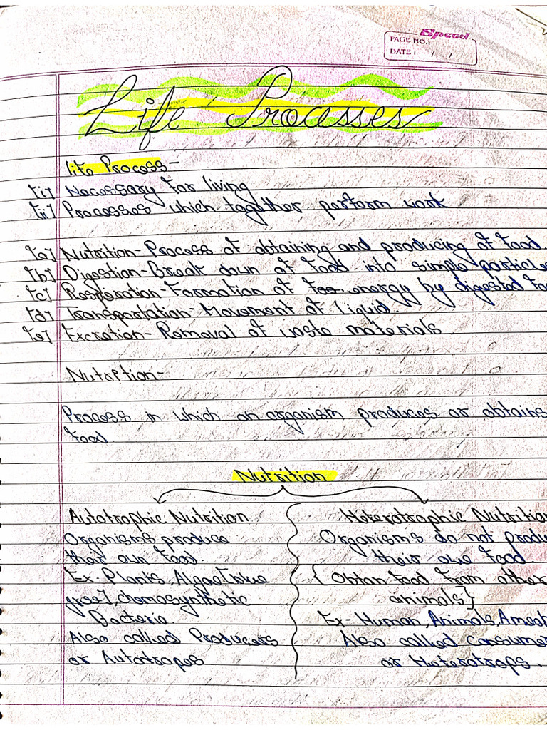 Biology: Life Processes Detailed Short Notes | PDF