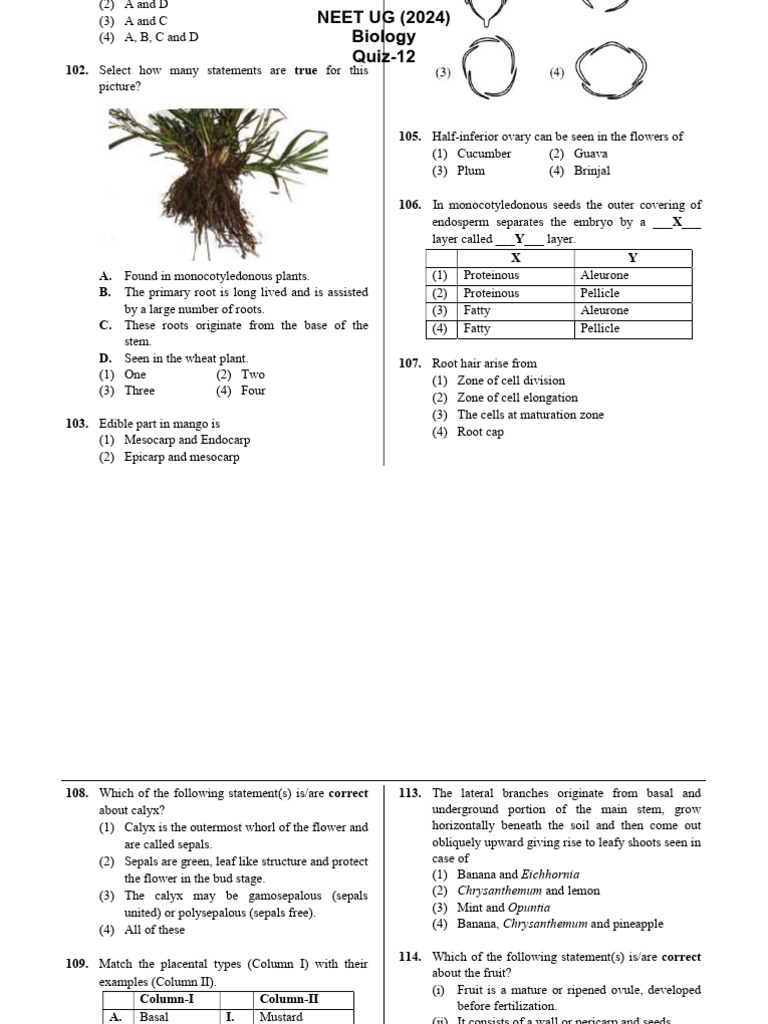 NEET UG 2024 Biology Quiz Questions | PDF | Plants
