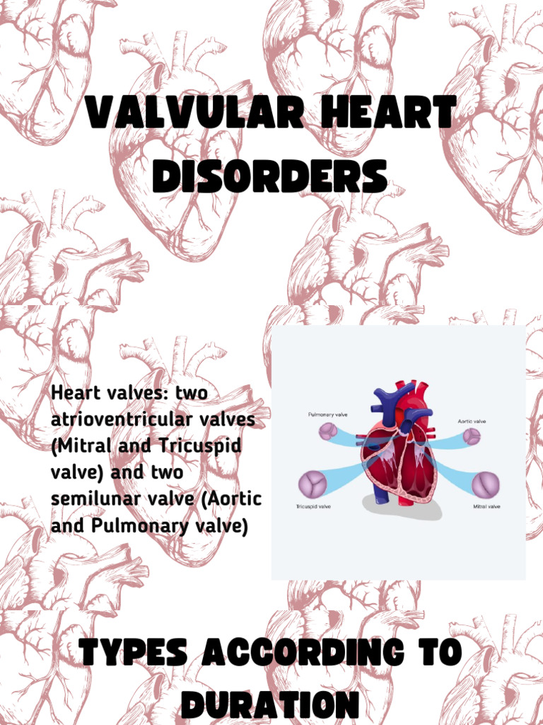 Mitral Valve Disorders Overview | PDF | Heart | Heart Valve