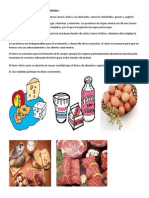 Grupo de Alimentos de Origen Animal