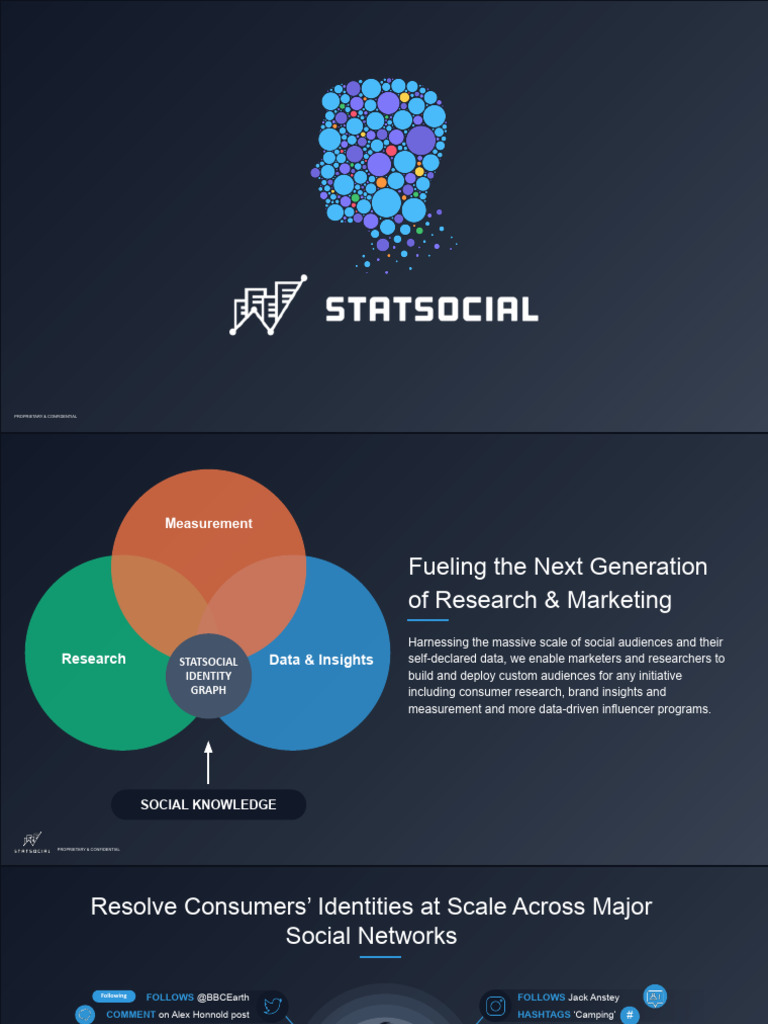 Audience Insights for Marketing Strategies | PDF | Promotion And ...