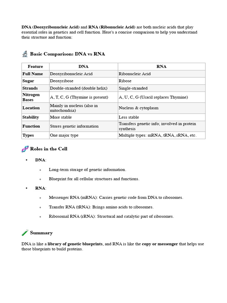 Dna & Rna | PDF