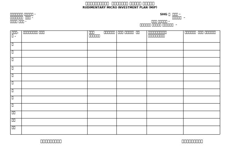 Mip Form | PDF