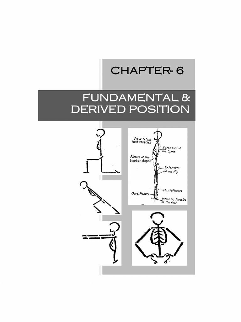 Starting Positions | PDF