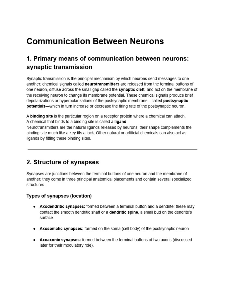 Neurotransmitter Removal in Synapses | PDF | Chemical Synapse | Synapse