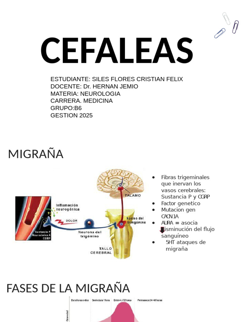 CEFALEAS | PDF | Dolor de cabeza | Migraña