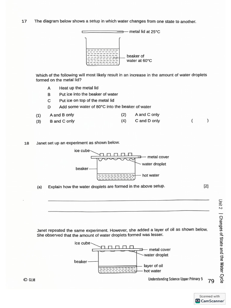 P5 Science OEQ - Water | PDF