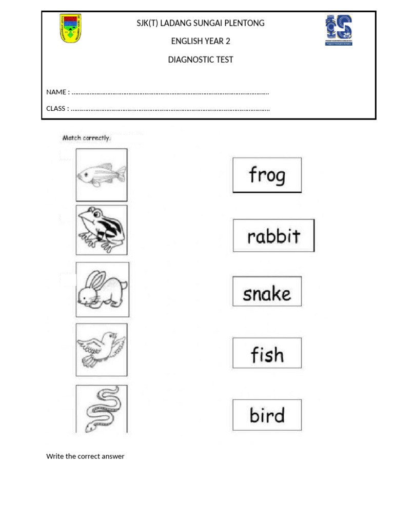 Diagnostic Test Year 2 | PDF