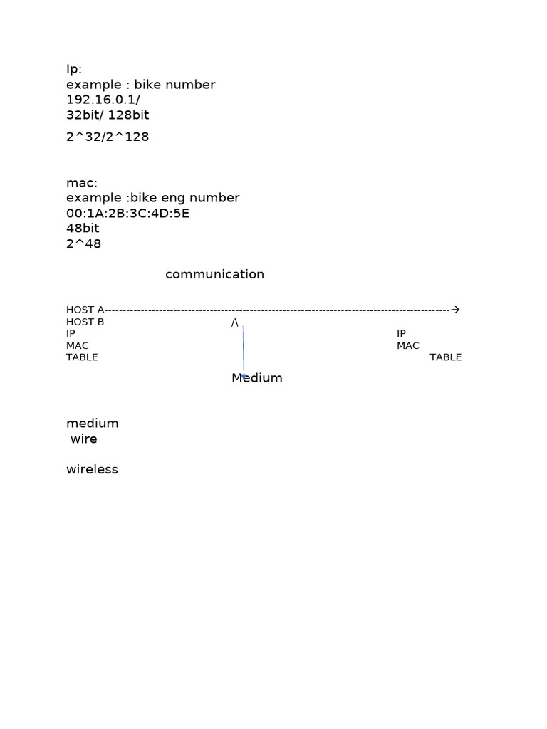 IP and MAC Address Overview | PDF