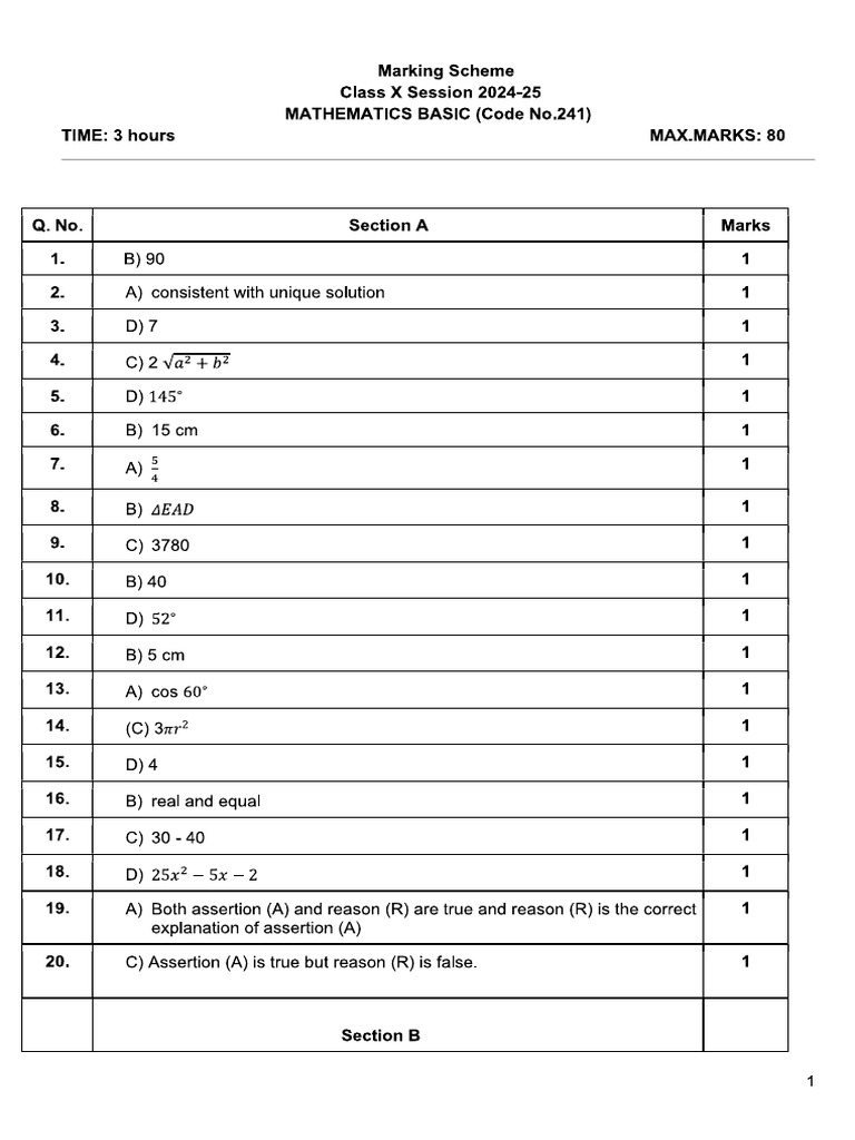 MathsBasic MS | PDF
