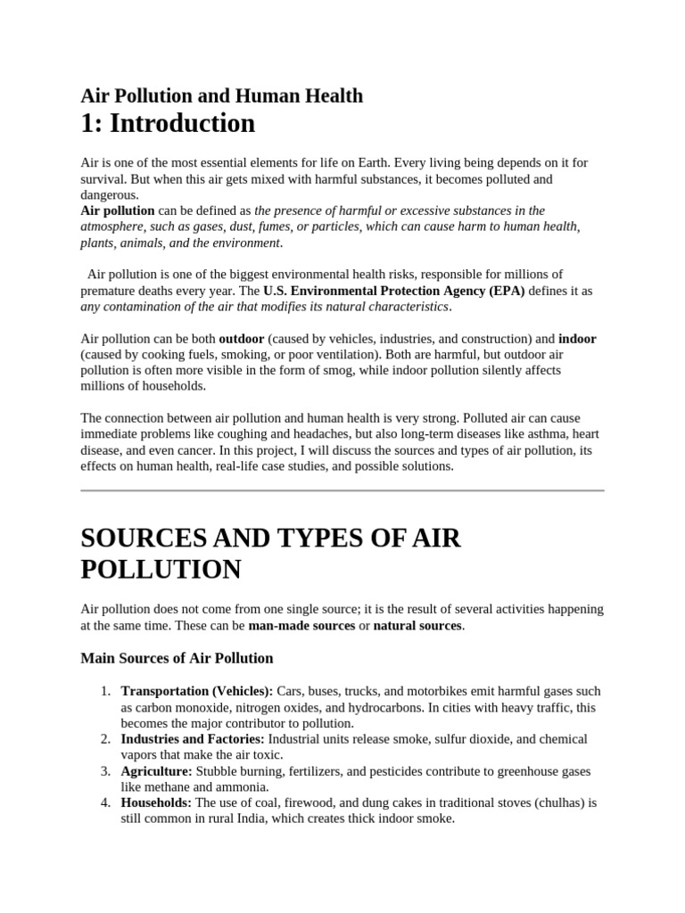 Air Pollution's Impact on Health | PDF | Air Pollution | Particulates