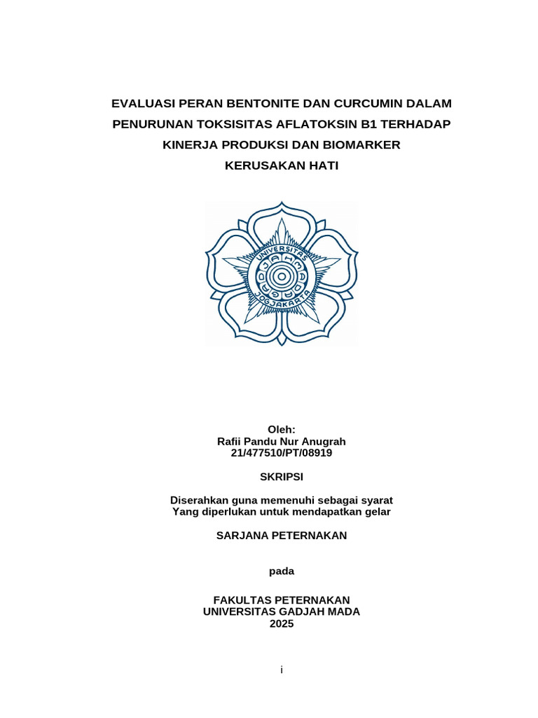Skripsi Rafii Pandu Nur Anugrah Rev Hafidz | PDF