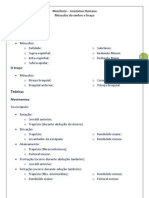 Revisão Anatomia - Monitoria