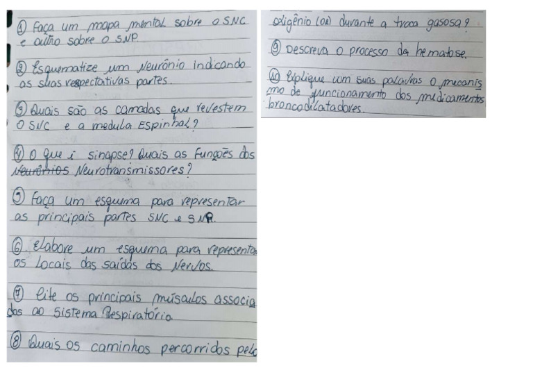 Prova | PDF