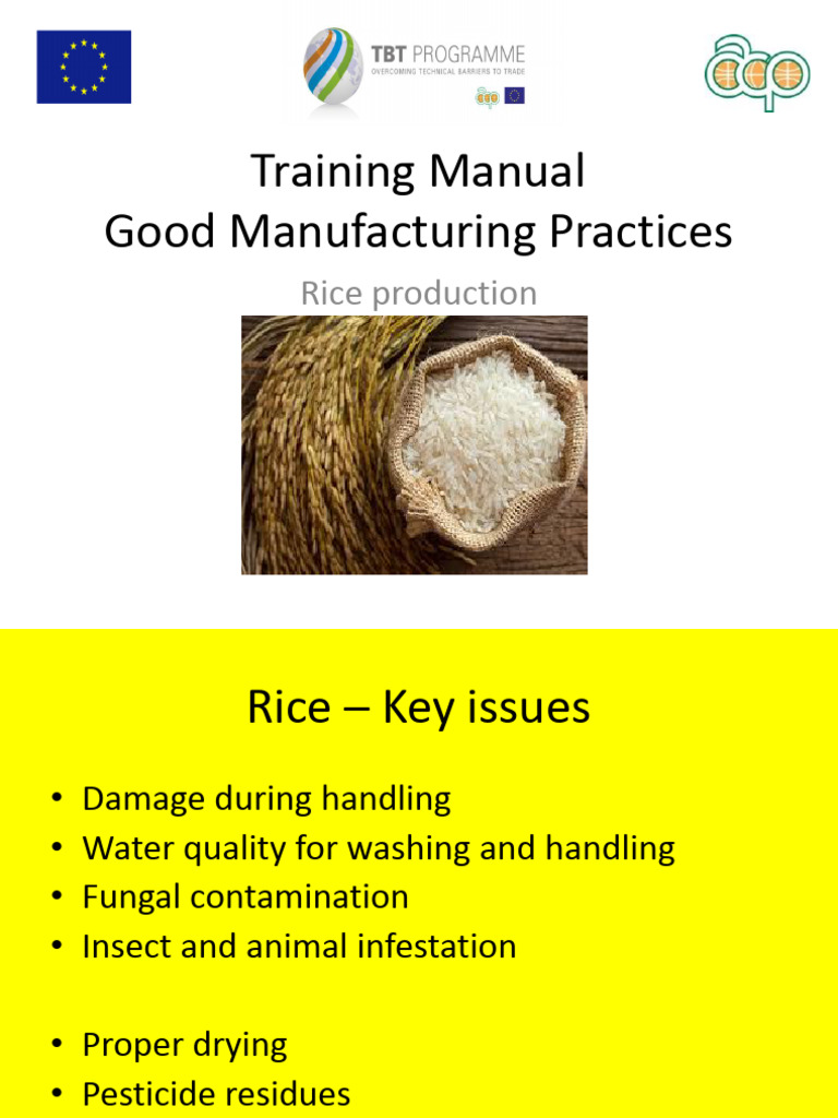 Rice Production Training Manual | PDF | Rice