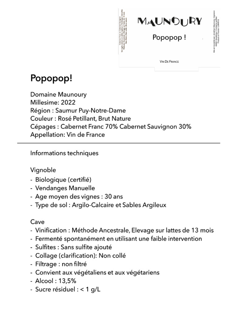 FT Popopop 22pdf | PDF