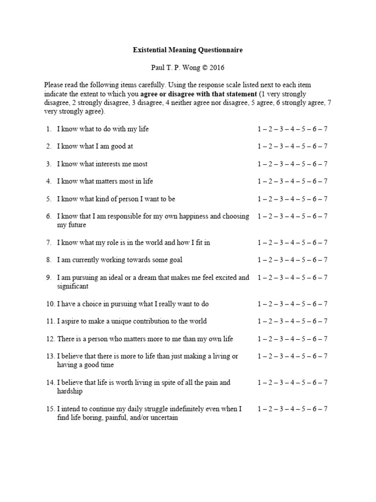 Existential Meaning Questionnaire | PDF