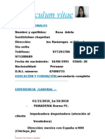 Curriculum Vitae Rosa