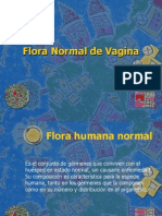 Flora Normal Vaginal: Guía Completa