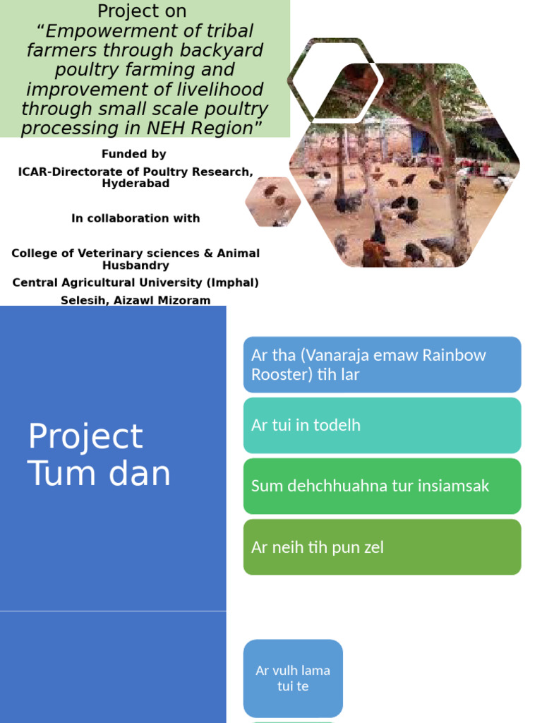 Empowering Tribal Farmers: Poultry Project | PDF